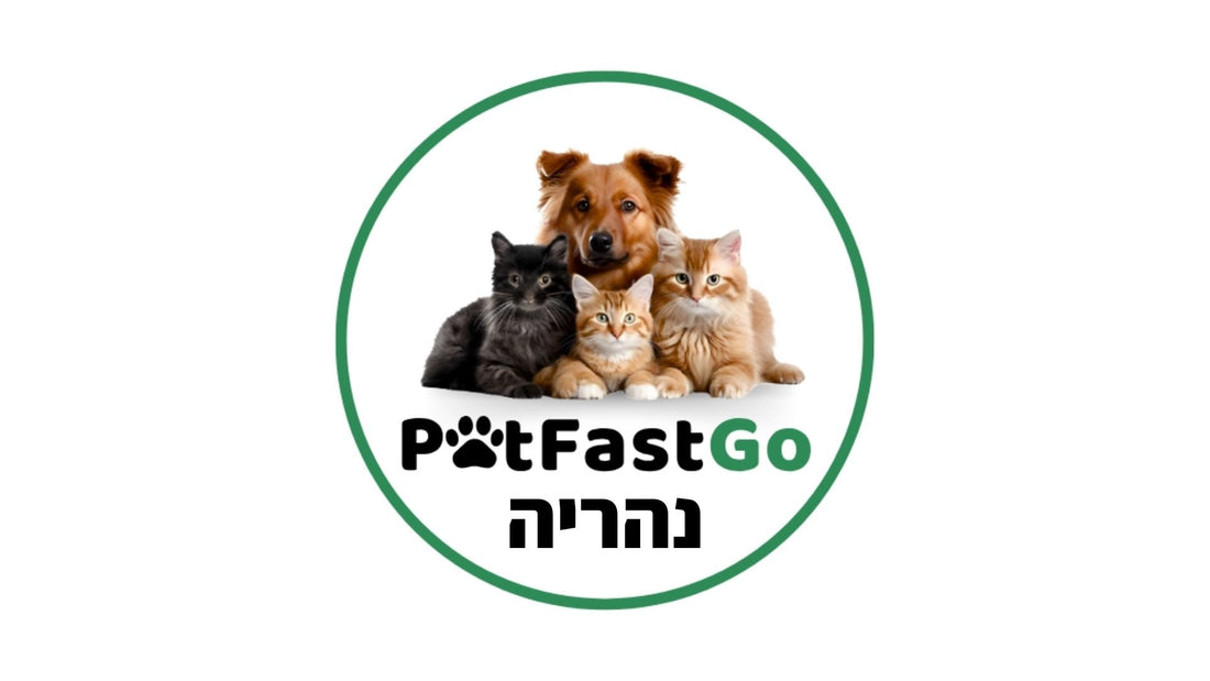 חנות חיות נהריה – משלוחים באותו יום עד הבית