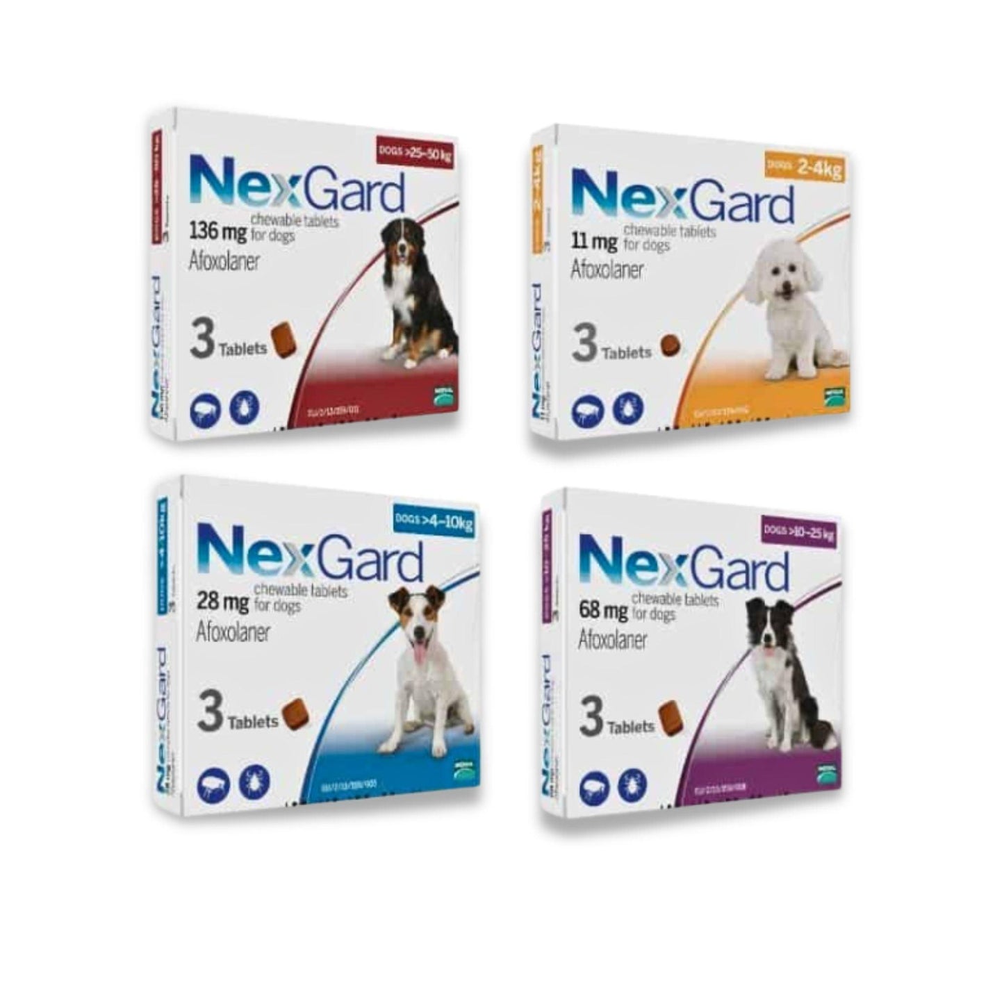NexGard - נקסגארד לכלב גדול במשקל 50 - 25 ק"ג טבליות לעיסה נגד פרעושים וקרציות