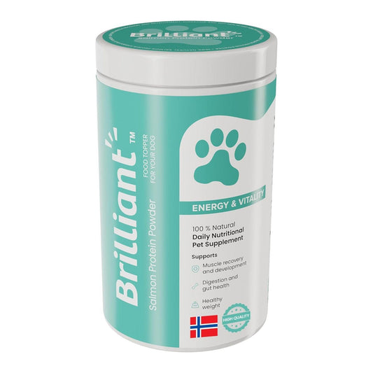 Brilliant בריליאנט תוסף לעיכול ובריאות המעיים לכלבים 300 גרם