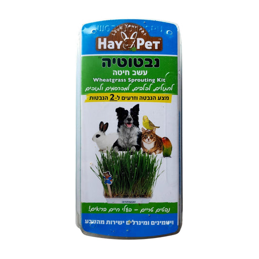 Hay Pet היי פט דשא לכלבים חתולים ומכרסמים נבטוטיה עשב חיטה אורגני