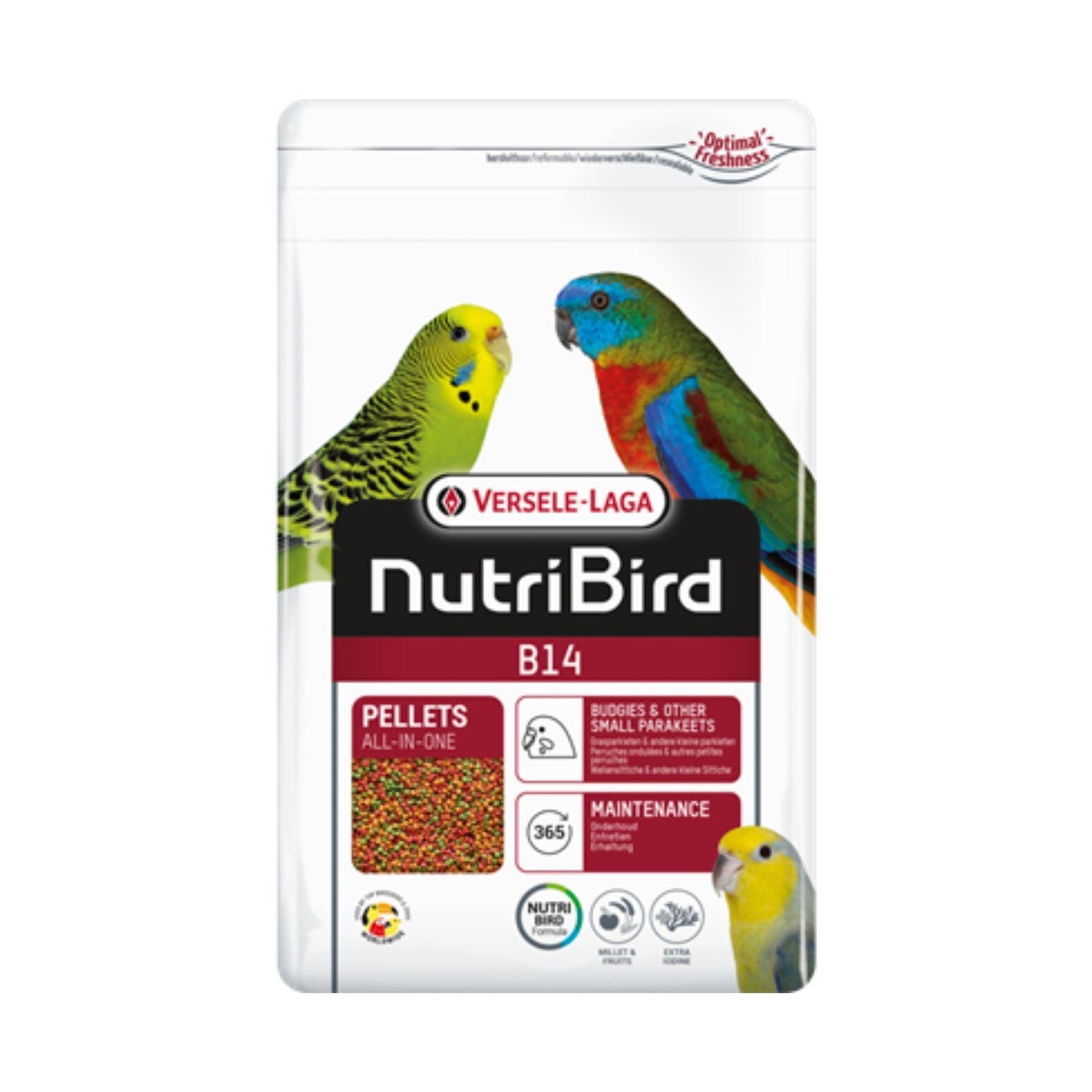 VERSELE LAGA B14 כופתיות לתוכי קטן ורסלה צבעוני 800 גרם