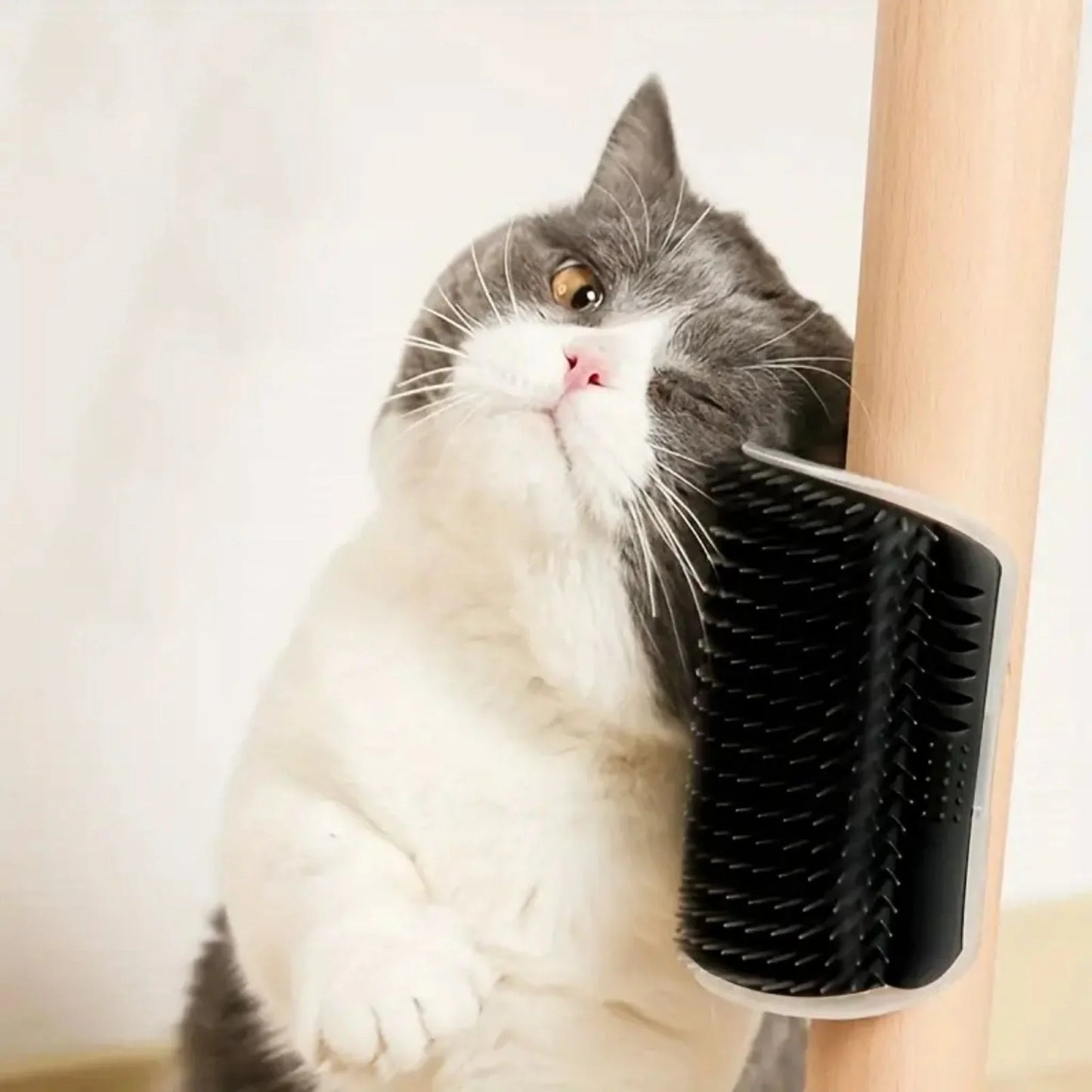Wall-mounted massage brush for cats with comb