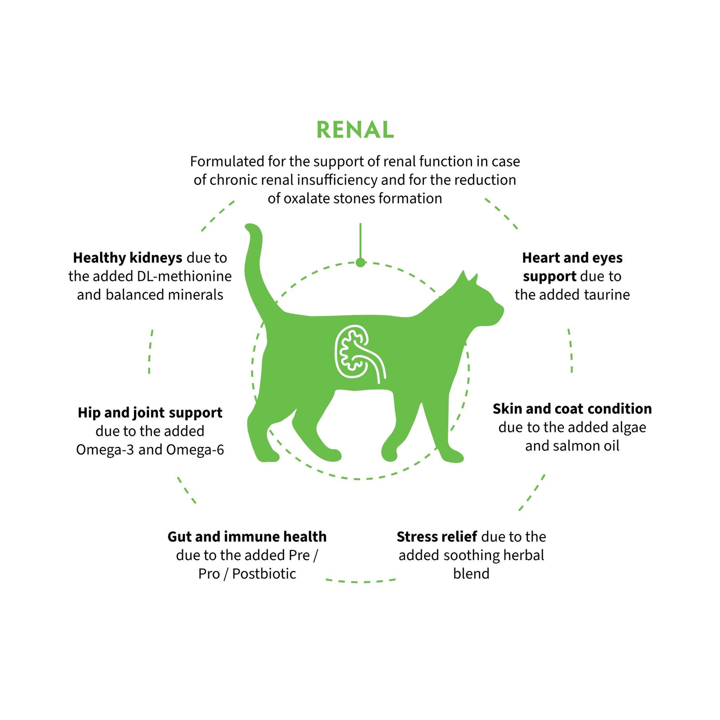 GRANDORF VET Renal גרנדורף רנל אוכל רפואי לחתול לתמיכה בתפקוד הכליות בטעם הודו 2 ק״ג