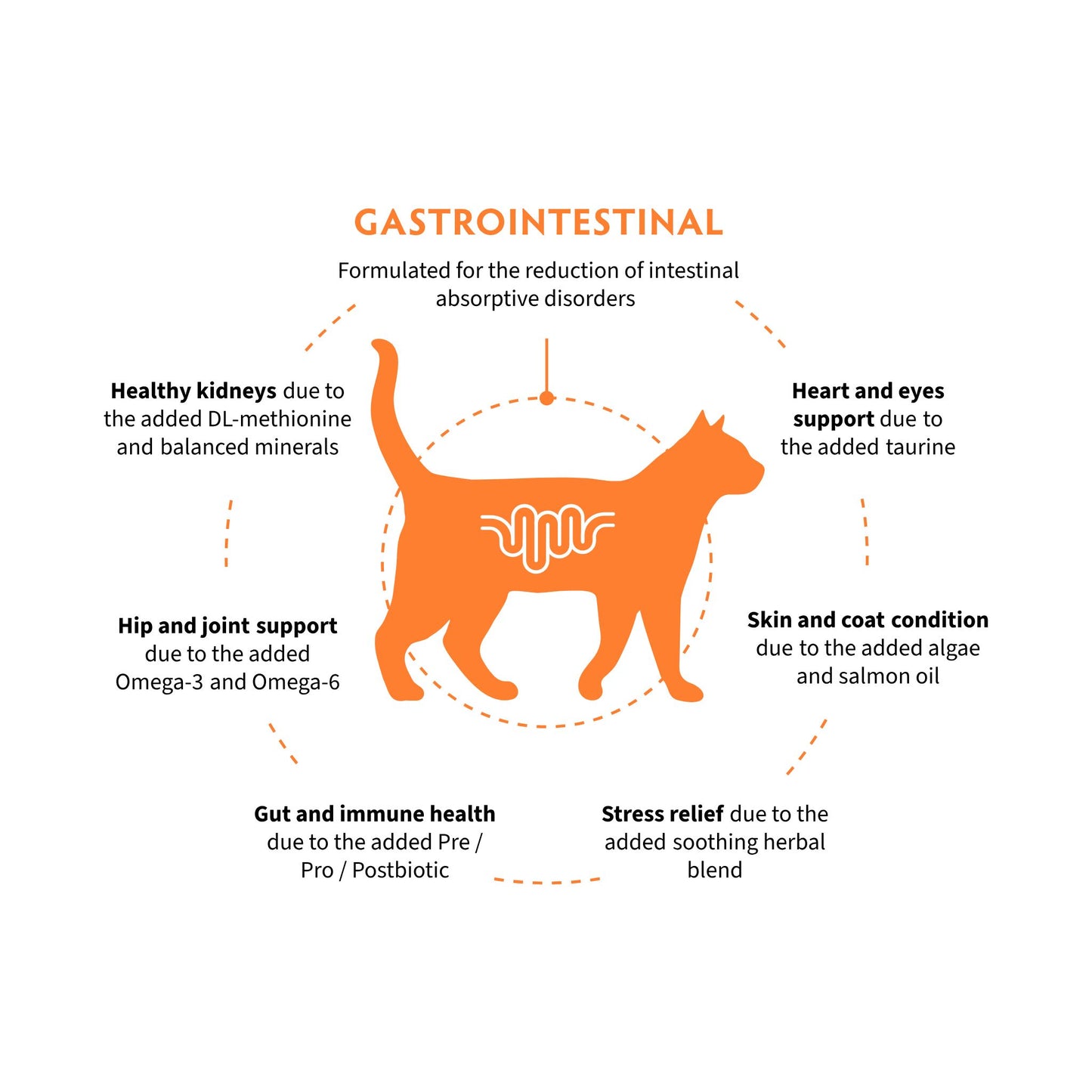 GRANDORF VET Gastrointestinal גרנדורף גסטרו אינטסטינל אוכל רפואי לחתול לתמיכה במערכת העיכול בטעם הודו 2 ק״ג