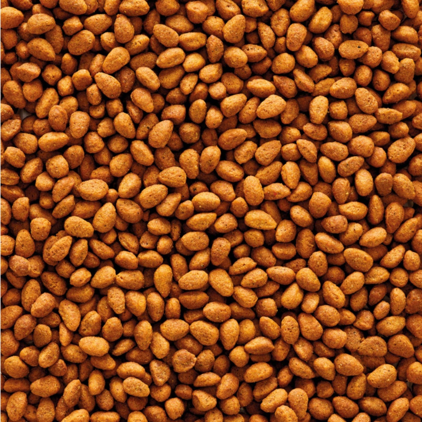 VERSELE LAGA G14 ורסלה לגה כופתיות לקוקטיילים וציפורי אהבה אוריג’ינל 1 ק”ג