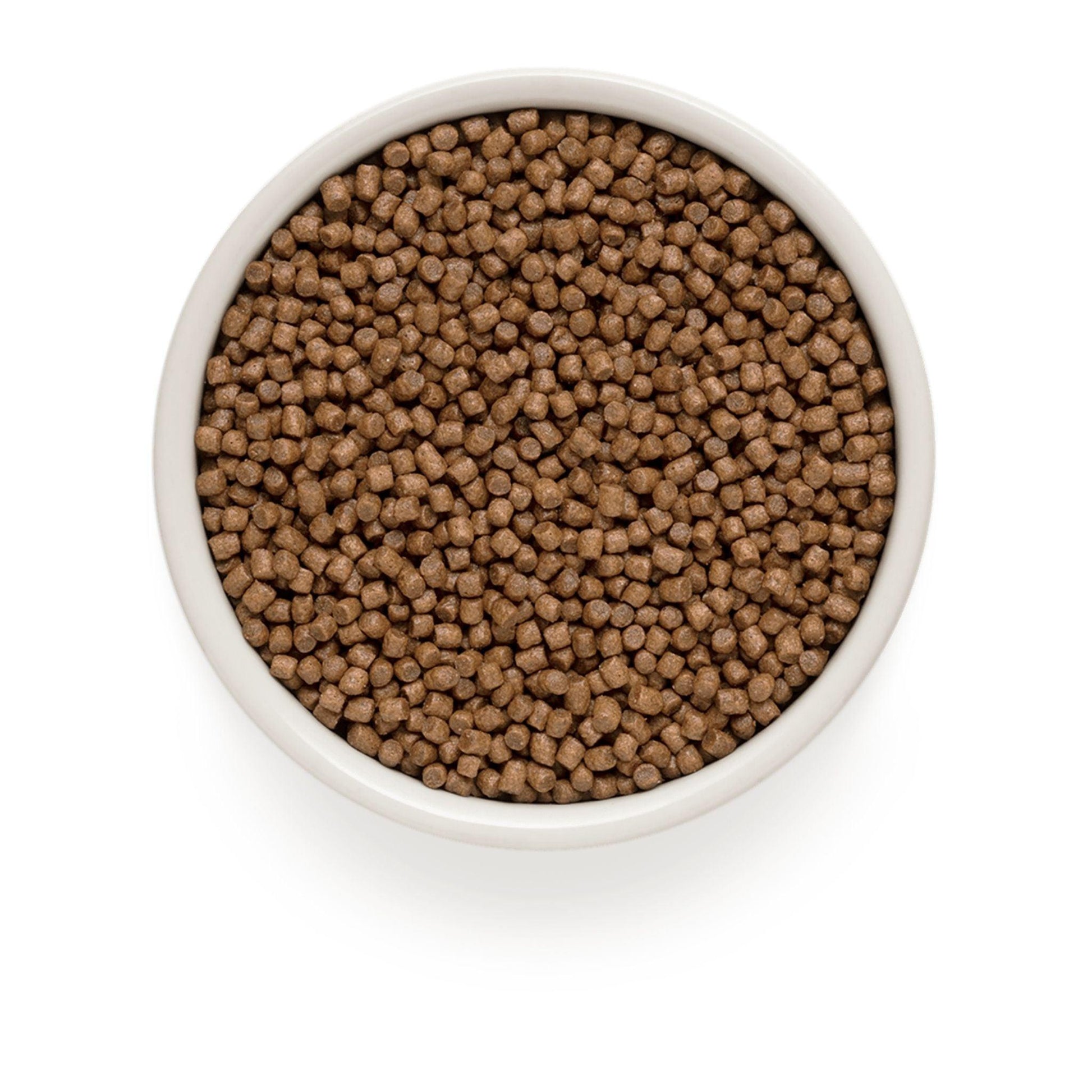 GRANDORF White Fish Indoor גרנדורף דגים לחתולים בוגרים היפואלרגני 6 ק"ג