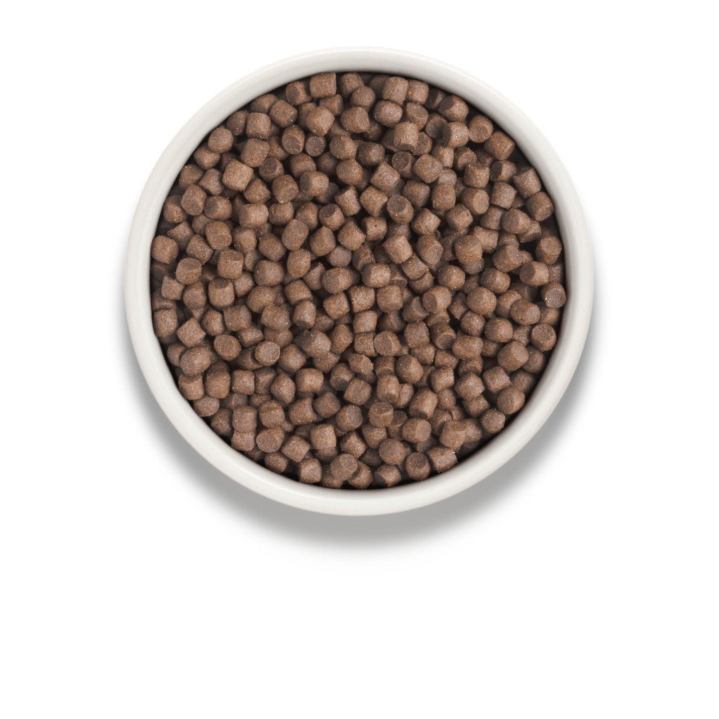 GRANDORF Turkey Mini Grandorf Turkey Mini for adult small breed dogs 3 kg hypoallergenic