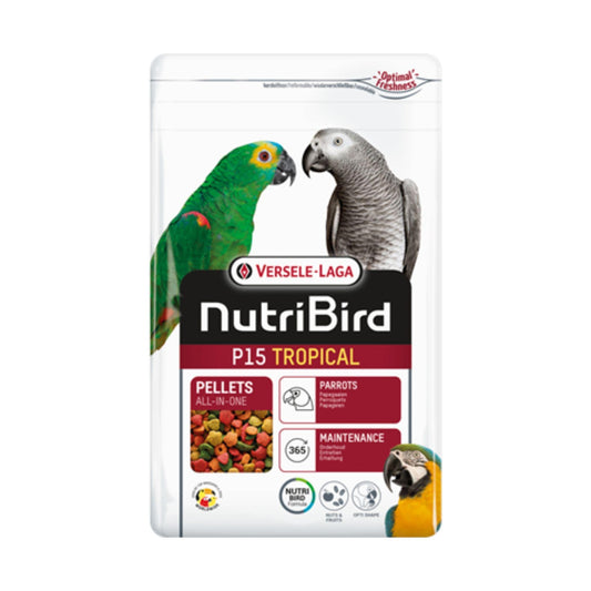 VERSELE LAGA P15 ורסלה לגה כופתיות לתוכי גדול טרופי 1 ק”ג