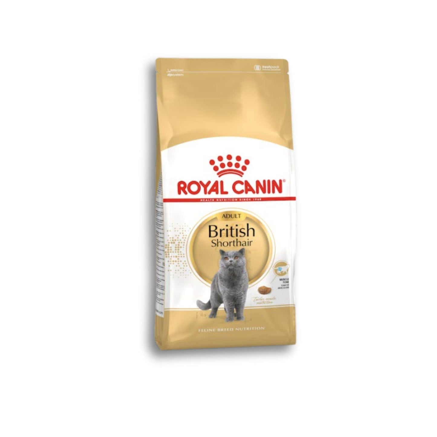 ROYAL CANIN British Shorthair Adult רויאל קנין בריטי בוגר 4 ק"ג