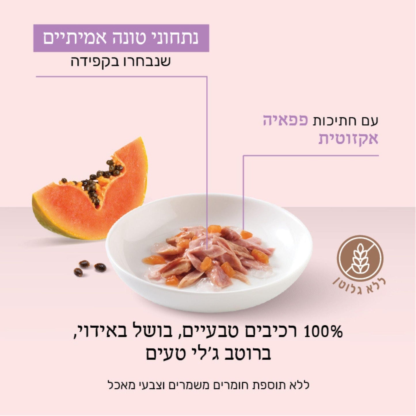 Schesir שזיר מעדן טונה עם פפאיה בג’לי לחתולים 75 גרם