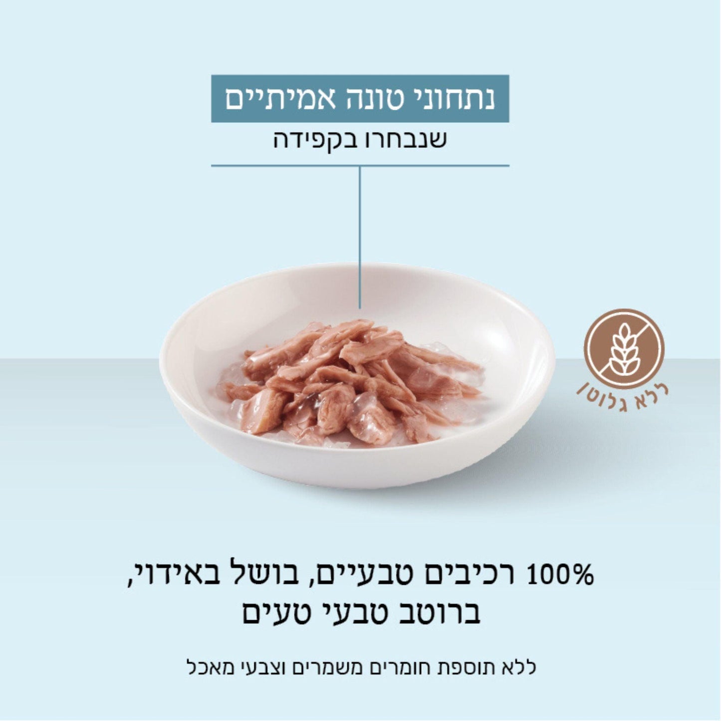 Schesir שזיר מעדן טונה בג’לי לחתולים 85 גרם