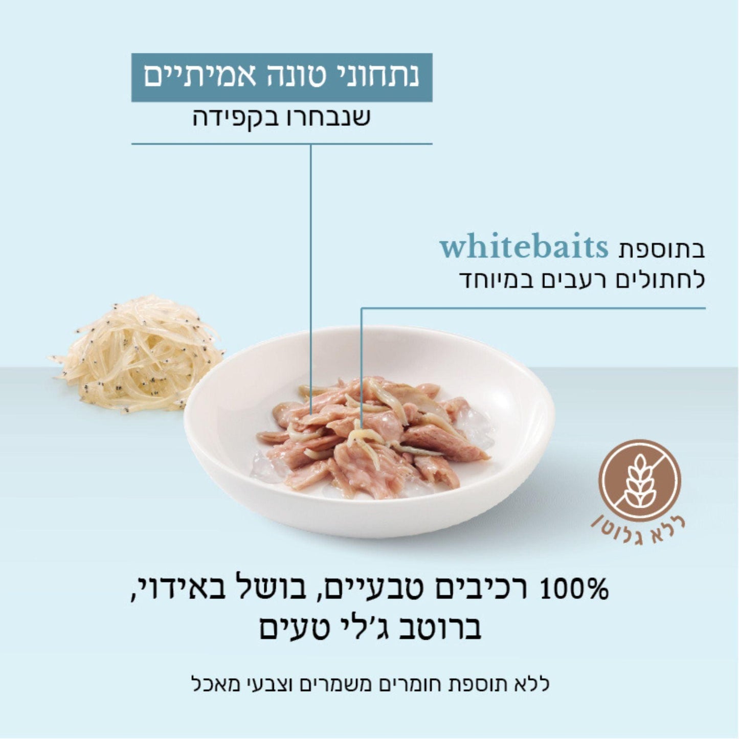 Schesir שזיר מעדן טונה ודגיגים לבנים בג’לי לחתולים 85 גרם