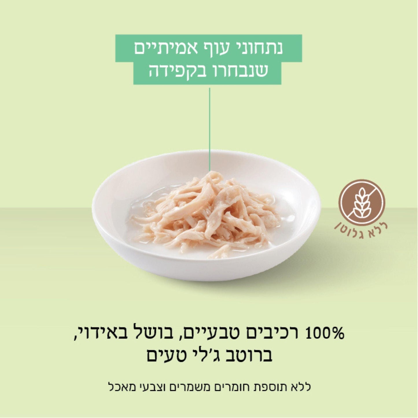 Schesir שזיר מעדן עוף בג’לי לחתולים 85 גרם