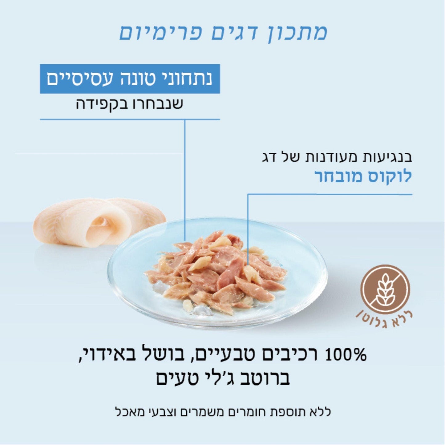 Schesir שזיר מעדן טונה עם לוקוס לחתולים 85 גרם