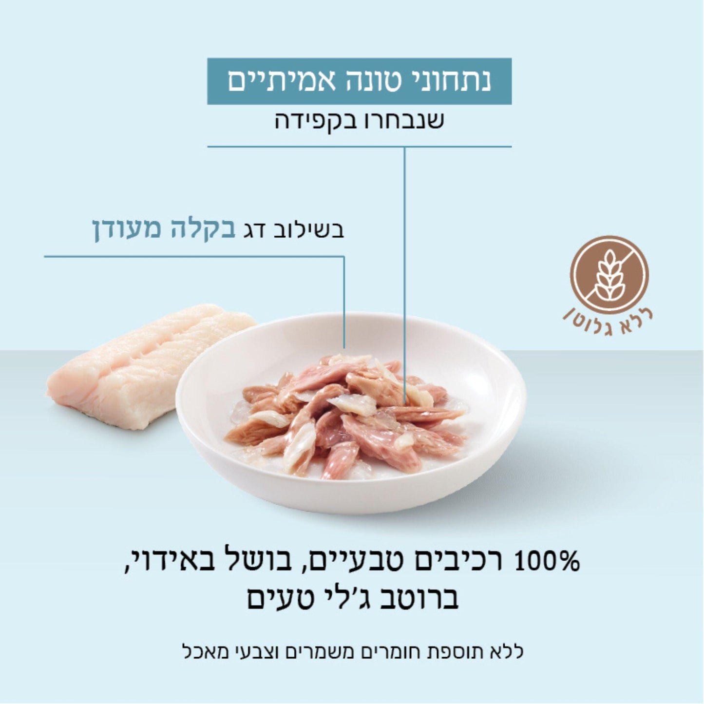 Schesir שזיר מעדן טונה עם בקלה בג’לי לחתולים 85 גרם