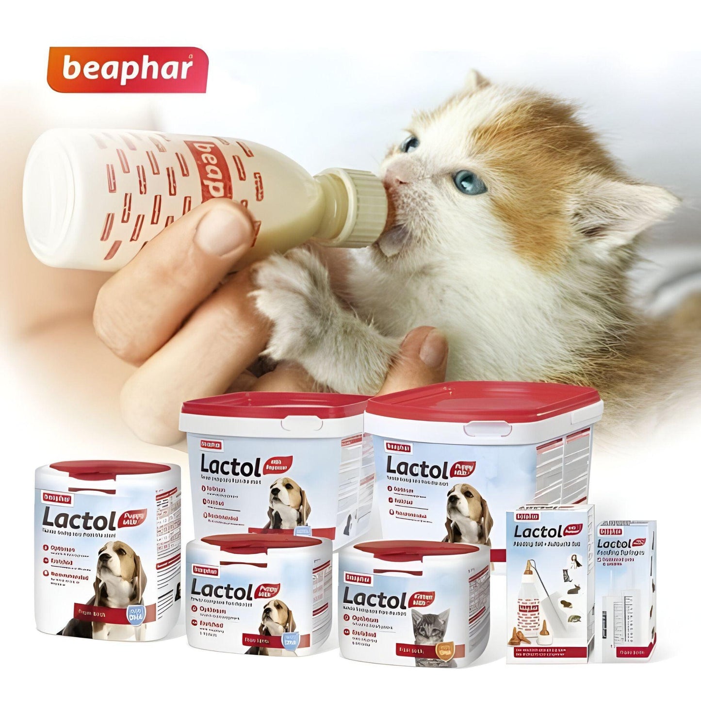 Lactol Beaphar - חלב לחתולים לקטול ביהפר 250 גרם