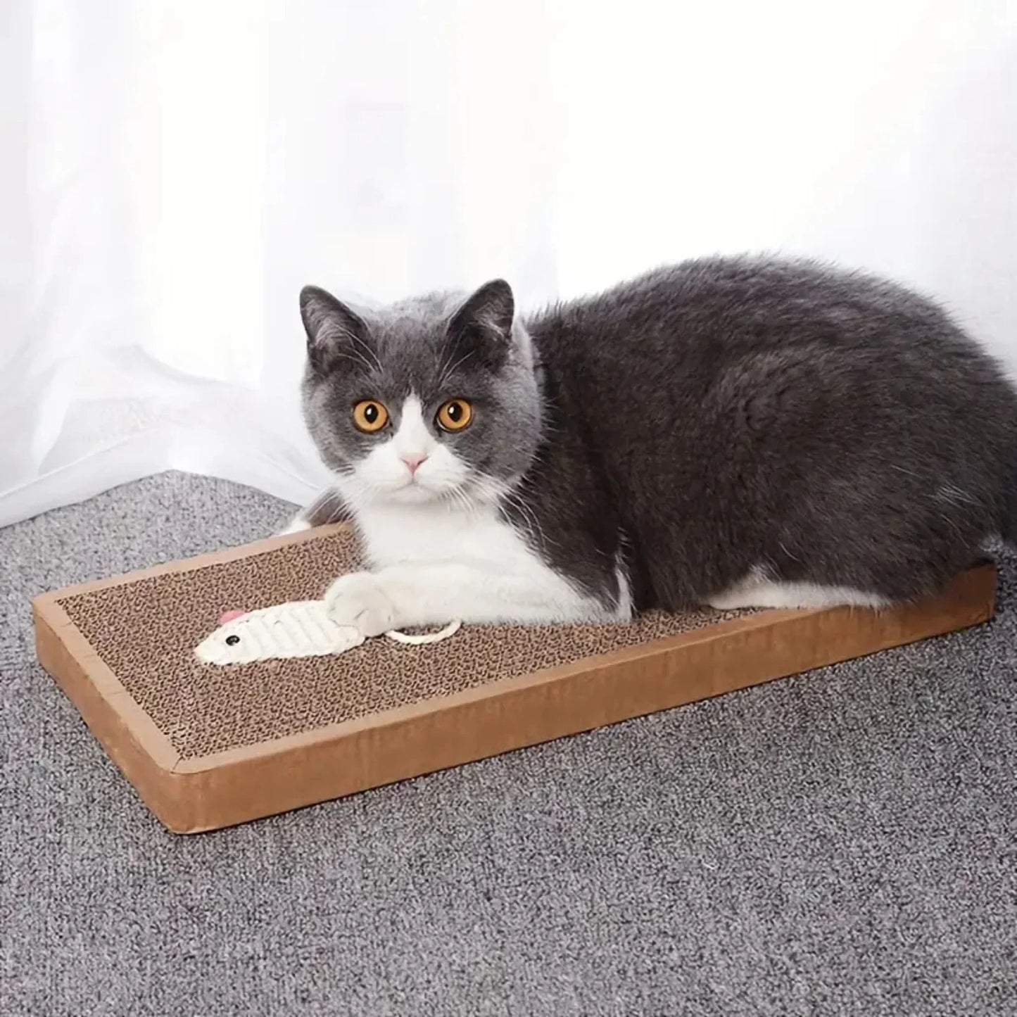 Cardboard cat scratching post