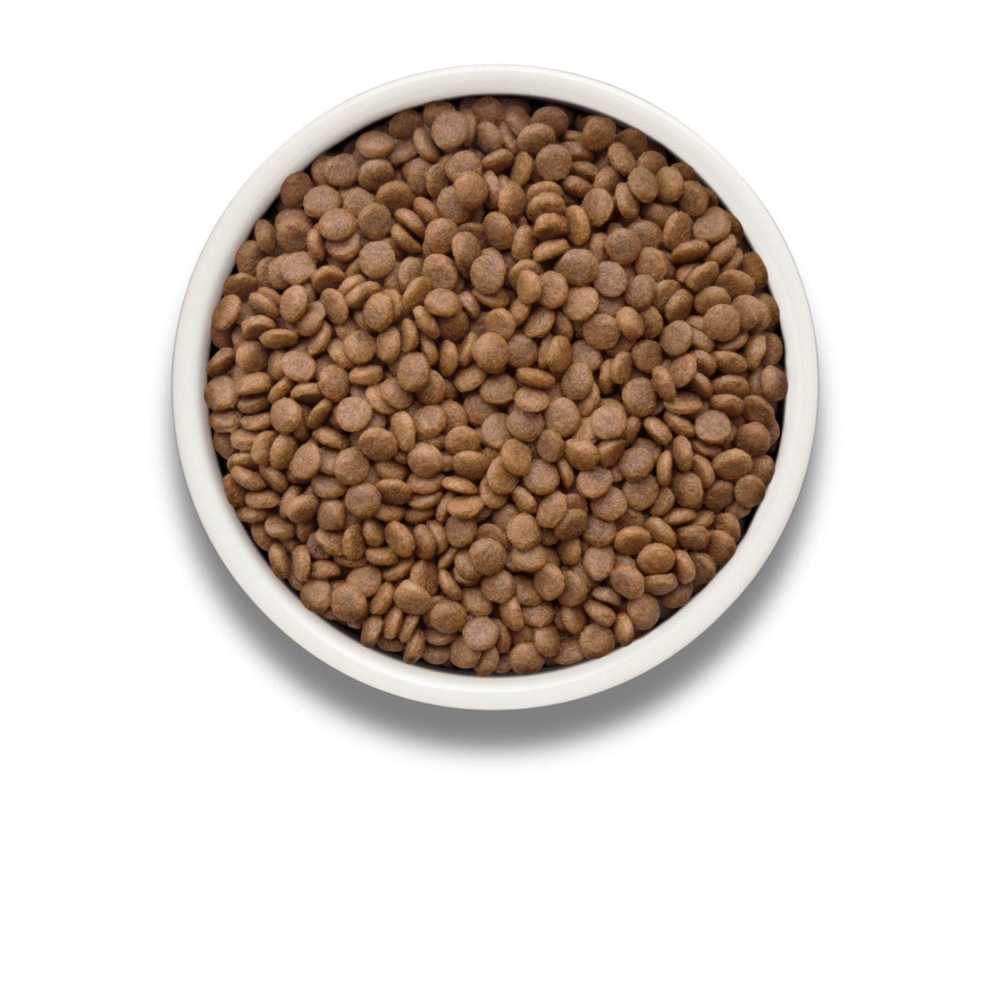 GRANDORF Fresh Salmon גרנדורף סלמון טרי לחתולים מעוקרים או מבוגרים היפואלרגני דוגמית 400 גרם