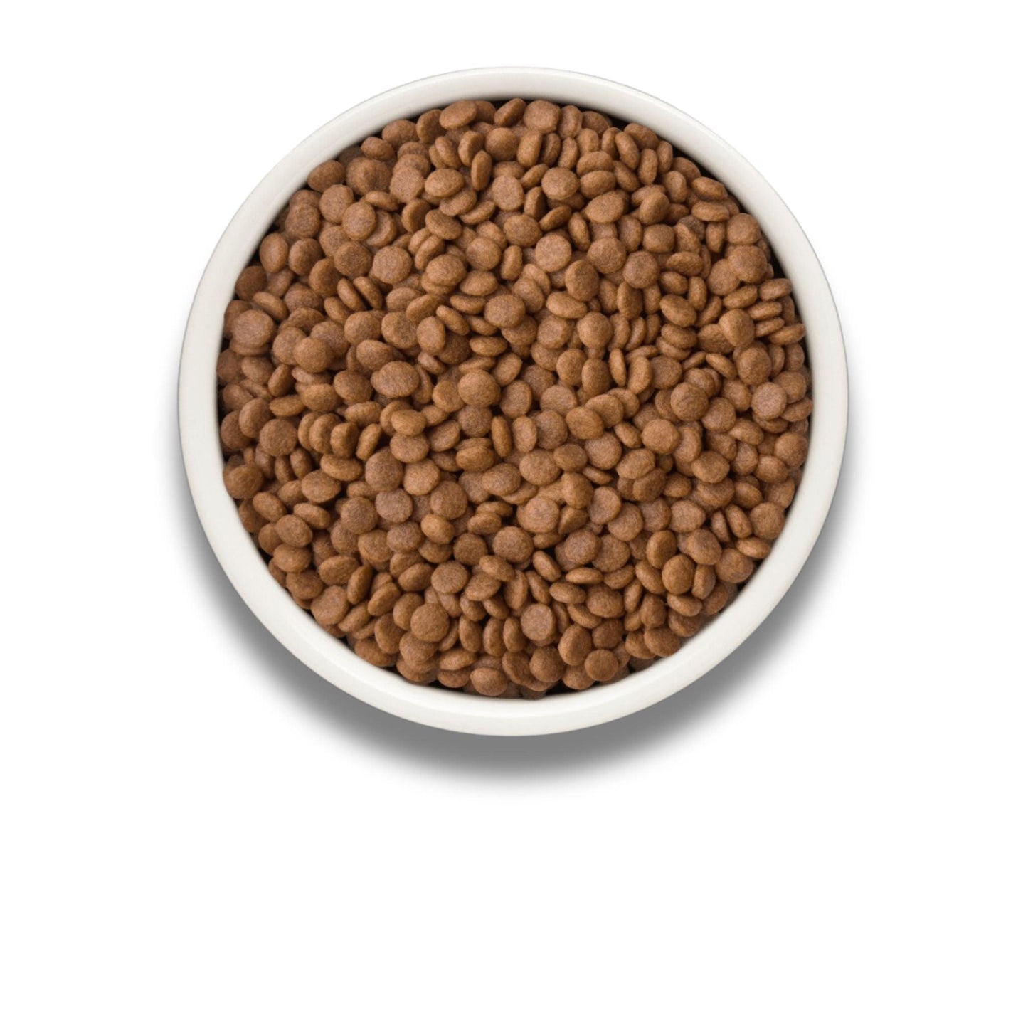 GRANDORF Fresh Duck גרנדורף ברווז טרי לחתולים בוגרים 2 ק״ג מבצע 2 שקים + מתנה