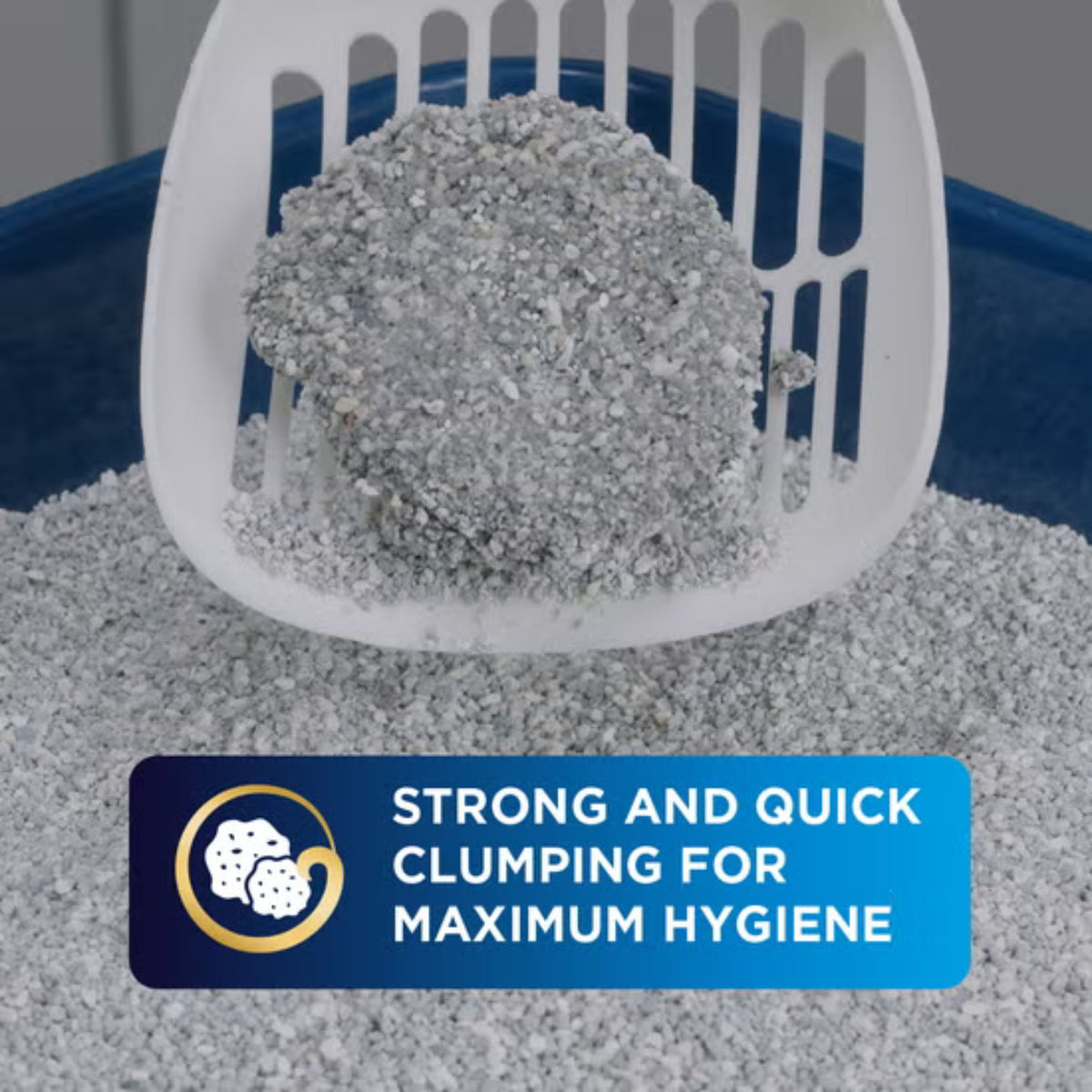 EVER CLEAN - אברקלין חול לגורי חתולים קיטן ללא ריח 10 ליטר