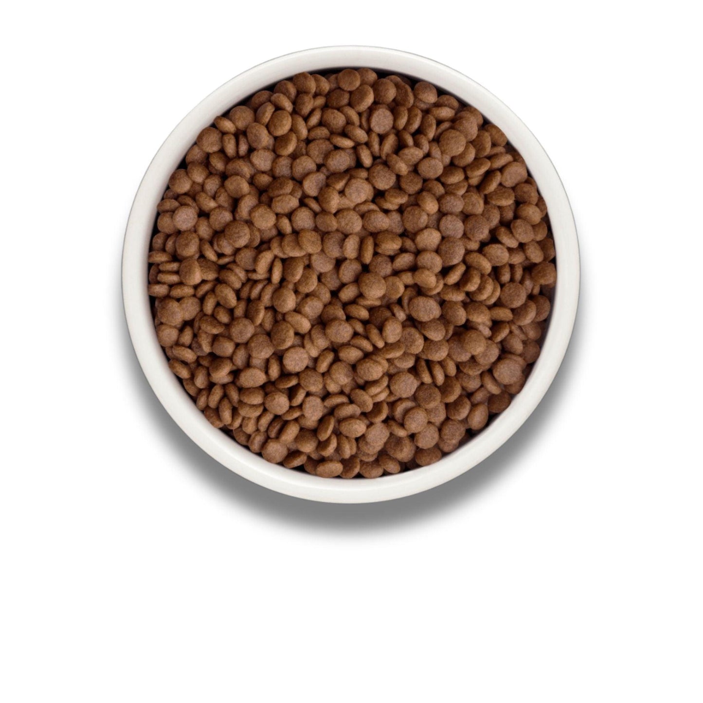 GRANDORF Fresh Salmon גרנדורף סלמון טרי לחתולים בוגרים היפואלרגני 2 ק”ג