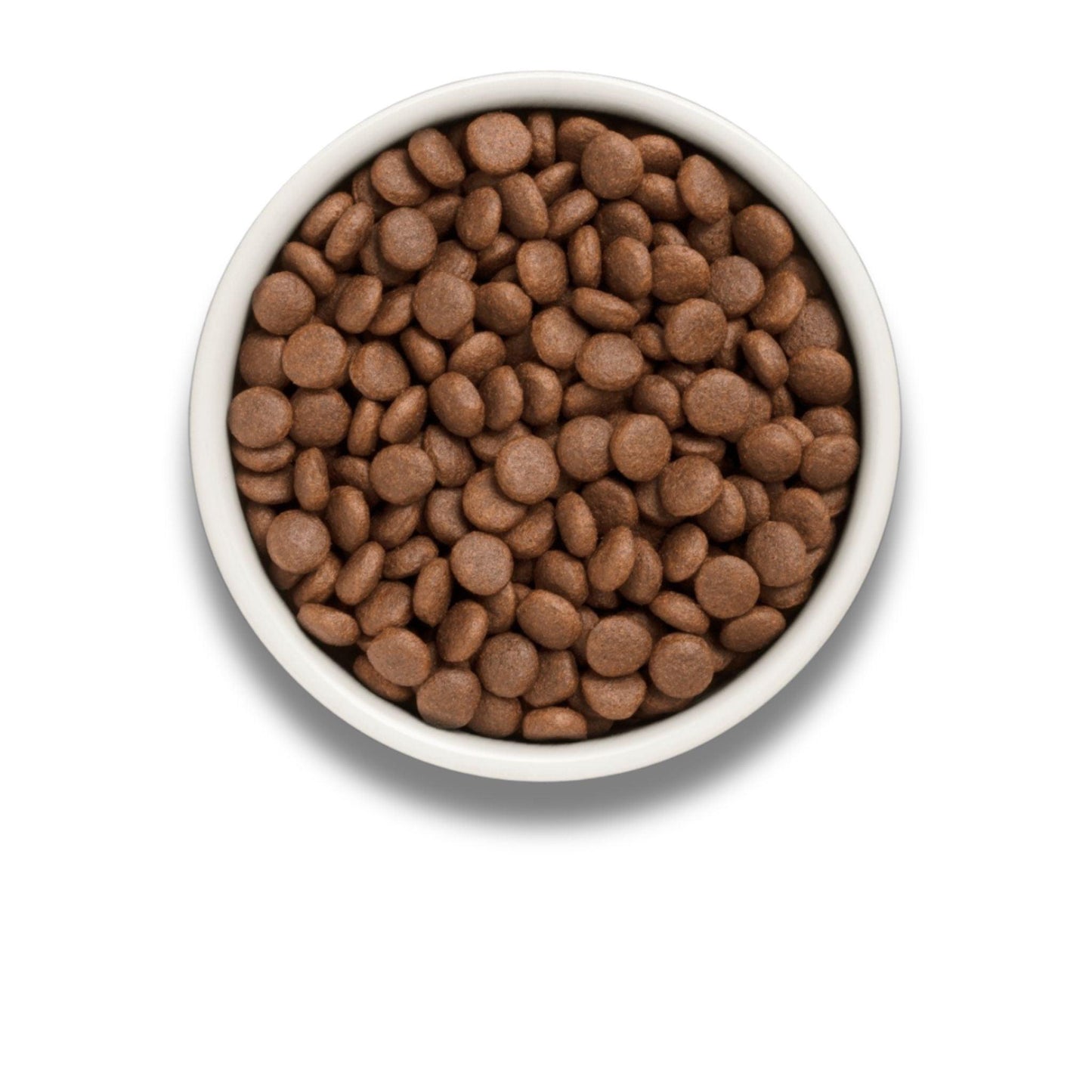 GRANDORF Fresh Salmon Grandorf Fresh Salmon for adult medium and large breed dogs 10 kg hypoallergenic