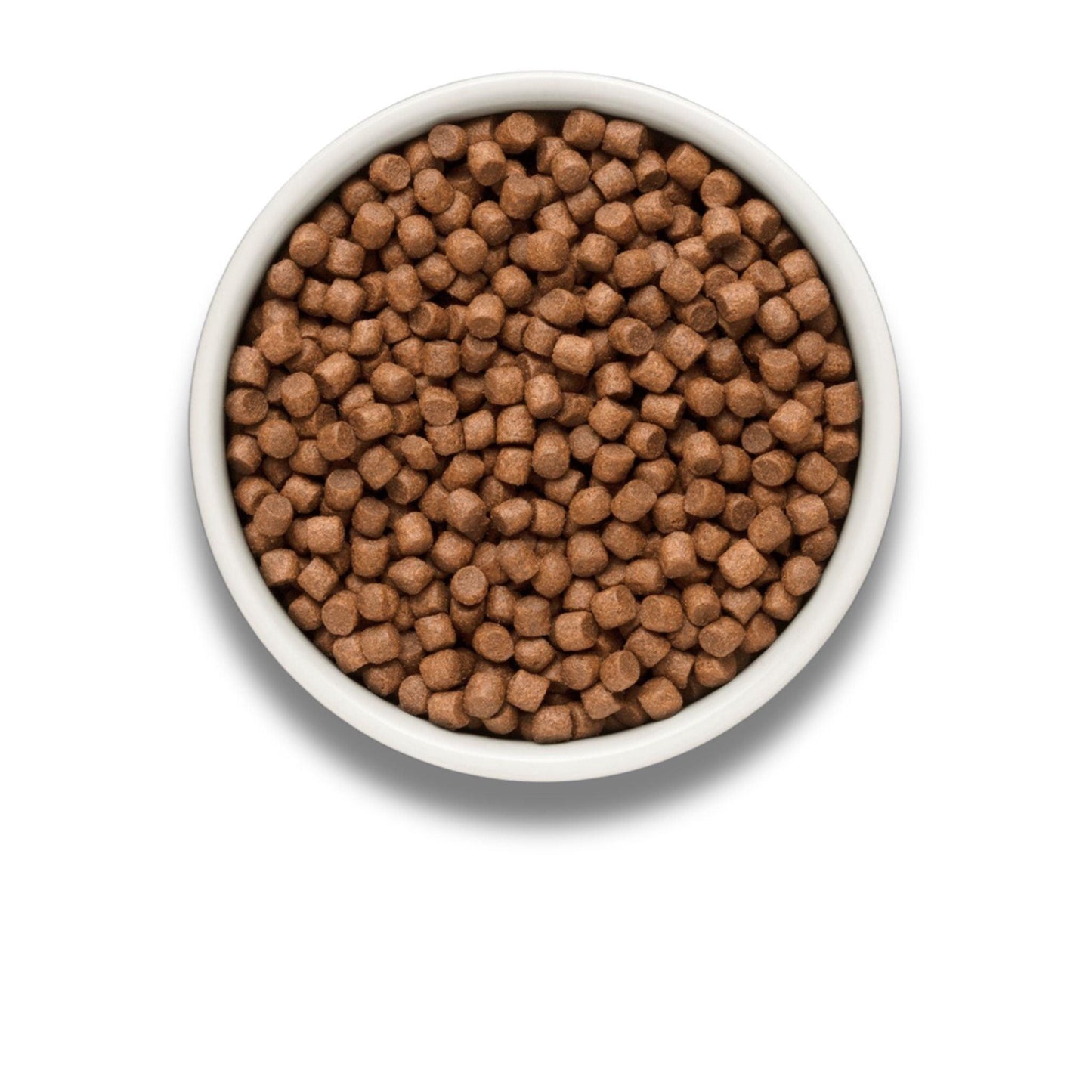 GRANDORF Fresh Salmon Mini Grandorf Fresh Salmon for Adult Small Breed Dogs 3 kg Hypoallergenic
