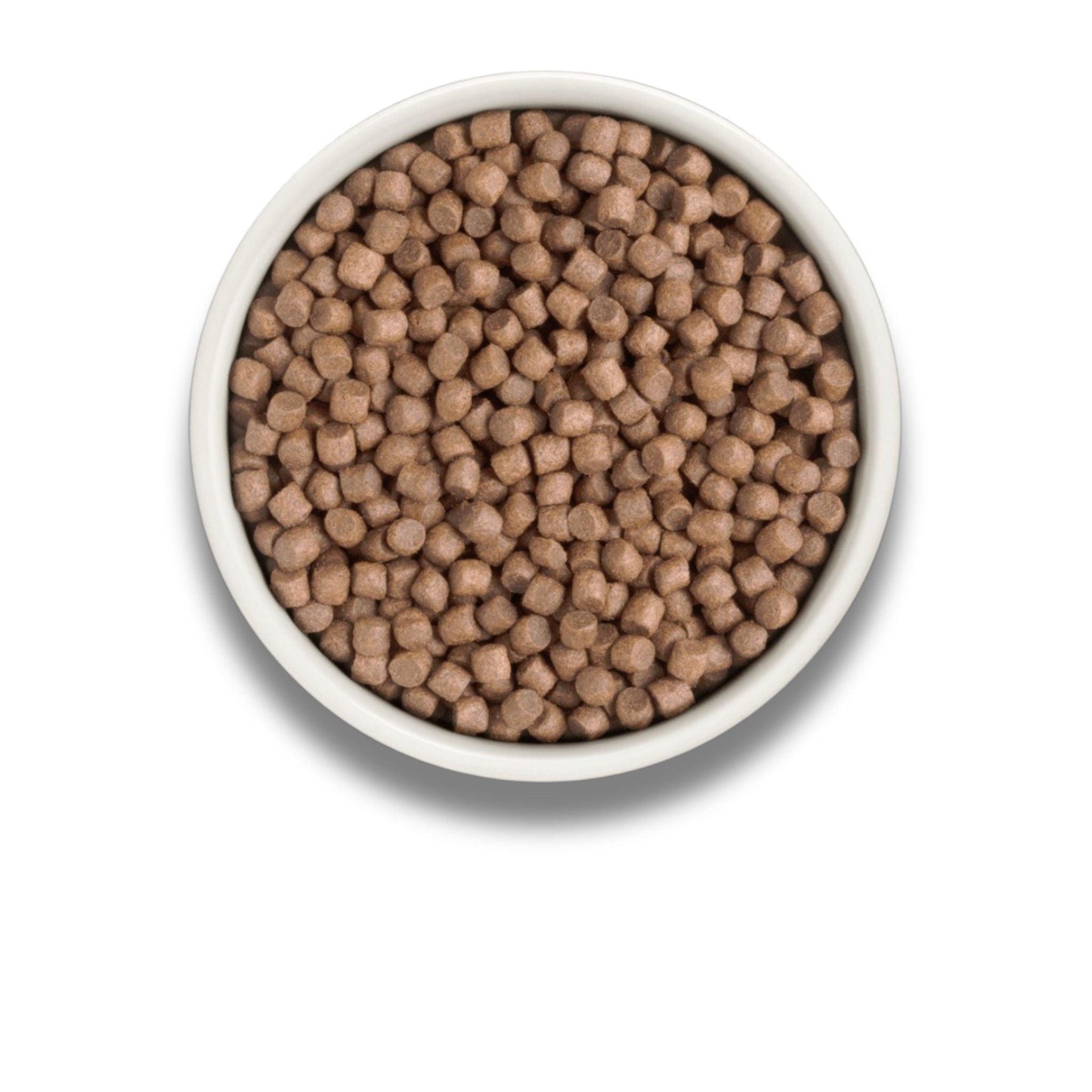 GRANDORF Fresh Turkey Mini גרנדורף הודו טרי לכלבים בוגרים מגזע קטן 3 ק”ג היפואלרגני