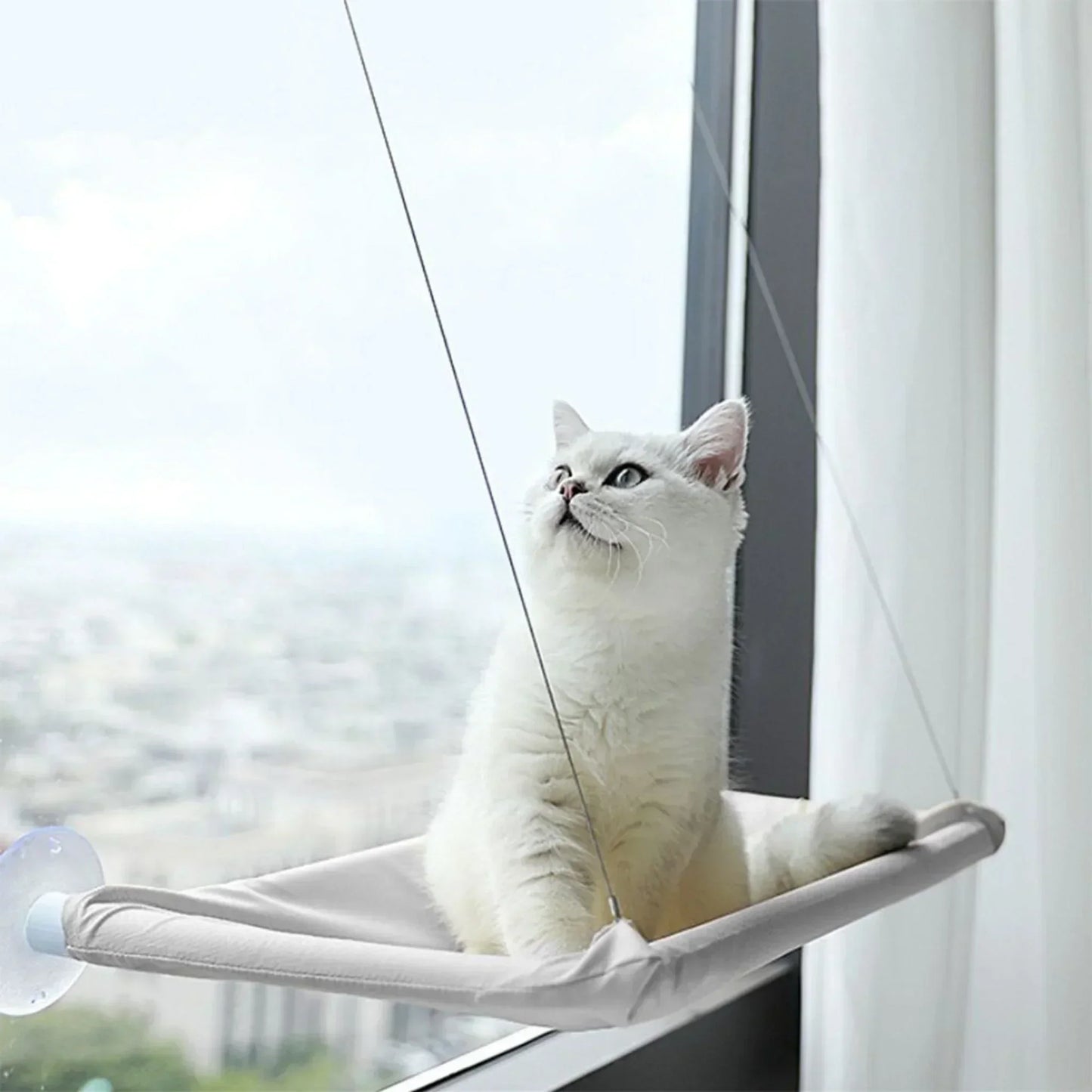 Hoofie ערסל תלייה פתוח לחתול