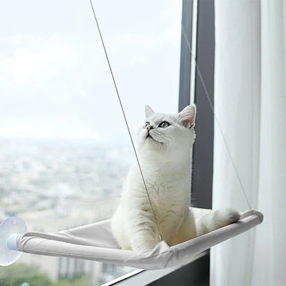 Hoofie ערסל תלייה פתוח לחתול