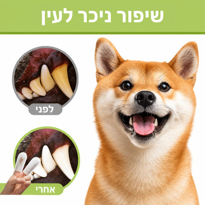 מגבוני אצבע לניקוי שיניים לכלבים וחתולים 20 יחידות