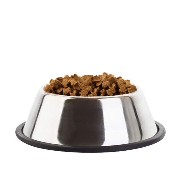 אוכל ומזון לכלבים