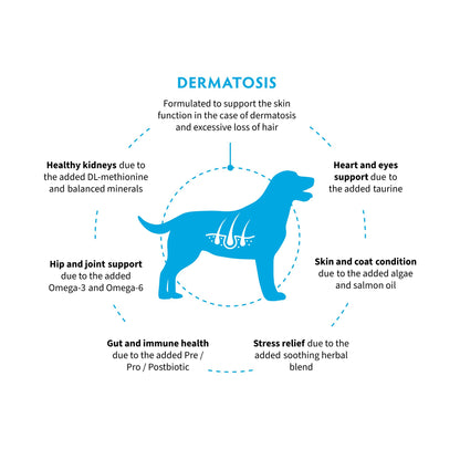 ‏GRANDORF VET Dermatosis גרנדורף דרמטוזיס אוכל רפואי לכלב לתמיכה בעור ובפרווה בטעם סלמון 3 ק״ג