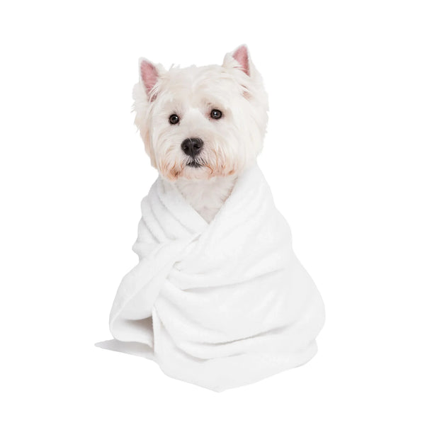 טיפוח והיגיינה