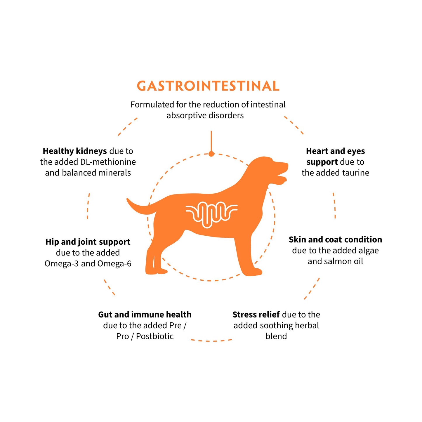 ‏GRANDORF VET Gastrointestinal גרנדורף גסטרו אינטסטינל אוכל רפואי לכלב לתמיכה במערכת העיכול בטעם הודו 3 ק״ג