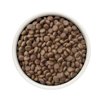 ‏GRANDORF VET Gastrointestinal Low Fat גרנדורף גסטרו אינטסטינל אוכל רפואי דל שומן לכלב לתמיכה במערכת העיכול בטעם הודו 3 ק״ג