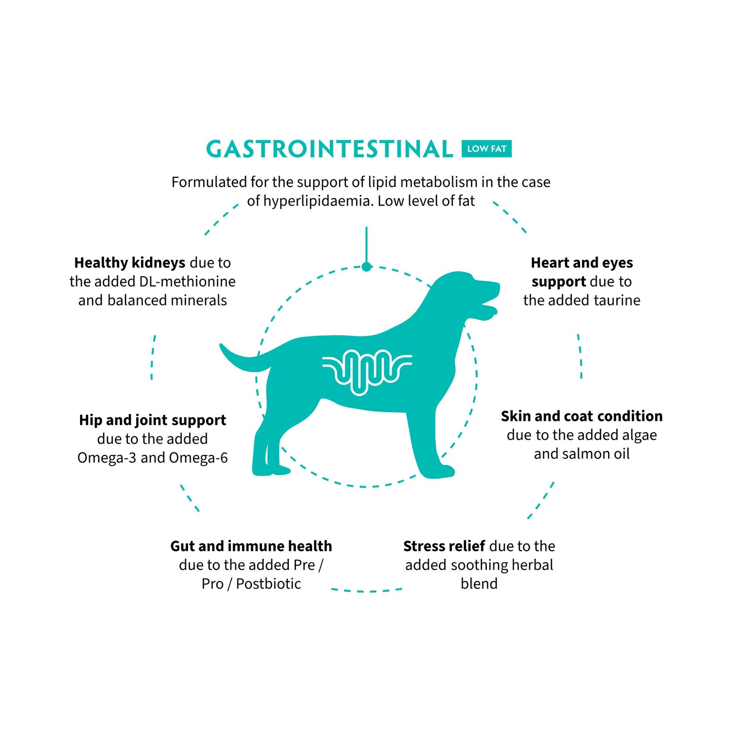 ‏GRANDORF VET Gastrointestinal Low Fat גרנדורף גסטרו אינטסטינל אוכל רפואי דל שומן לכלב לתמיכה במערכת העיכול בטעם הודו 3 ק״ג