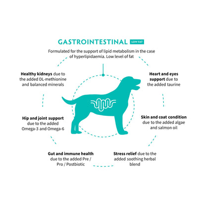 ‏GRANDORF VET Gastrointestinal Low Fat גרנדורף גסטרו אינטסטינל אוכל רפואי דל שומן לכלב לתמיכה במערכת העיכול בטעם הודו 3 ק״ג