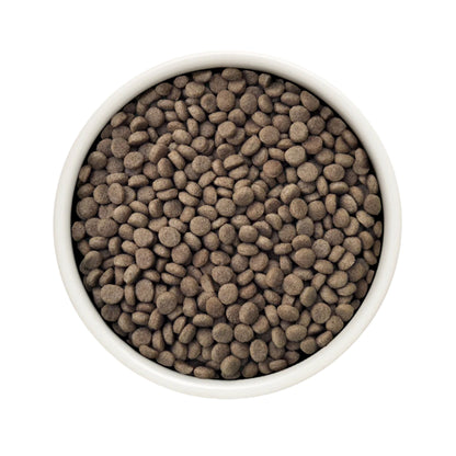 GRANDORF VET Renal גרנדורף רנל אוכל רפואי לחתול לתמיכה בתפקוד הכליות בטעם הודו 2 ק״ג