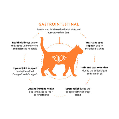 GRANDORF VET Gastrointestinal גרנדורף גסטרו אינטסטינל אוכל רפואי לחתול לתמיכה במערכת העיכול בטעם הודו 2 ק״ג