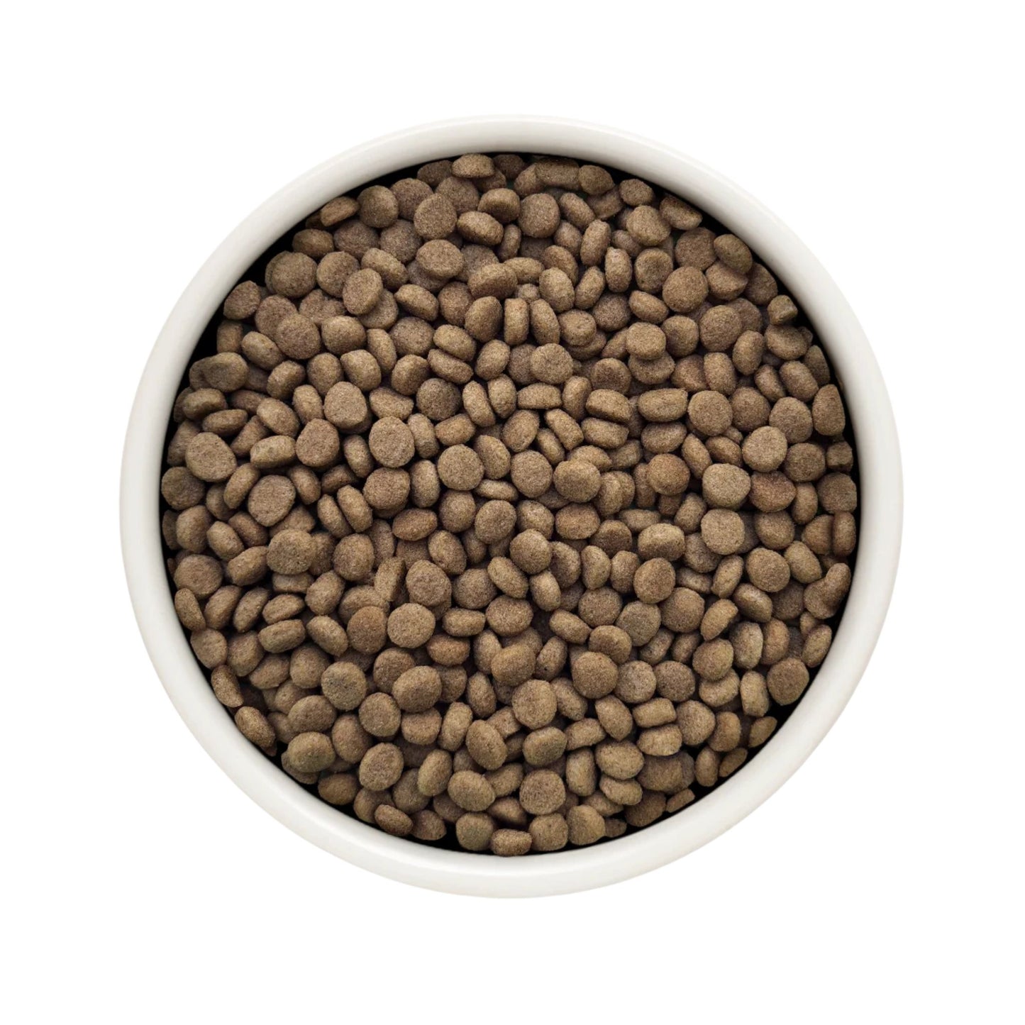 GRANDORF VET Gastrointestinal Moderate Calorie גרנדורף גסטרו אינטסטינל אוכל רפואי דל שומן לחתול לתמיכה במערכת העיכול בטעם הודו 2 ק״ג