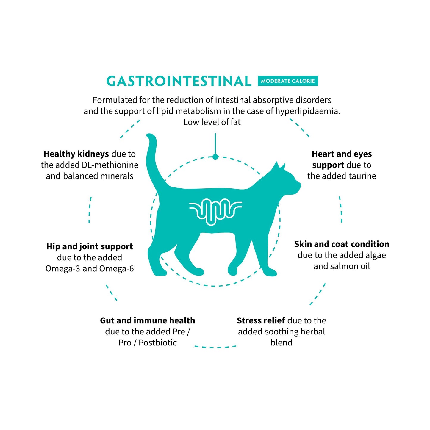 GRANDORF VET Gastrointestinal Moderate Calorie גרנדורף גסטרו אינטסטינל אוכל רפואי דל שומן לחתול לתמיכה במערכת העיכול בטעם הודו 2 ק״ג