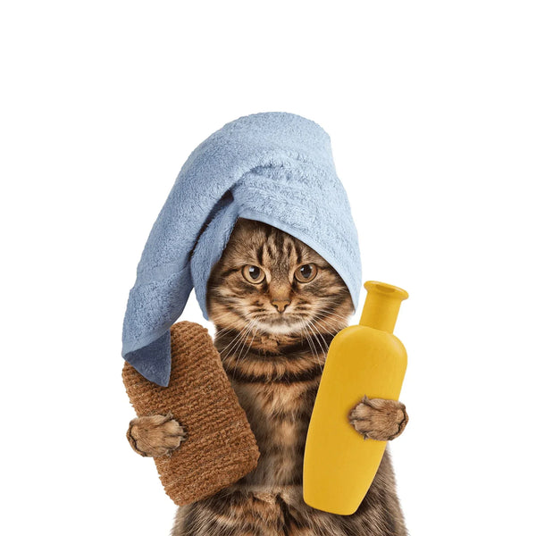 טיפוח והיגיינה