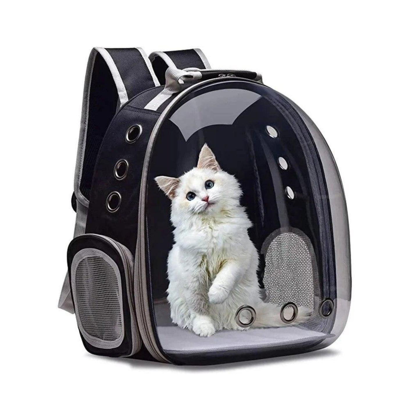 תיק גב שקוף לחתולים וכלבים צבע שחור