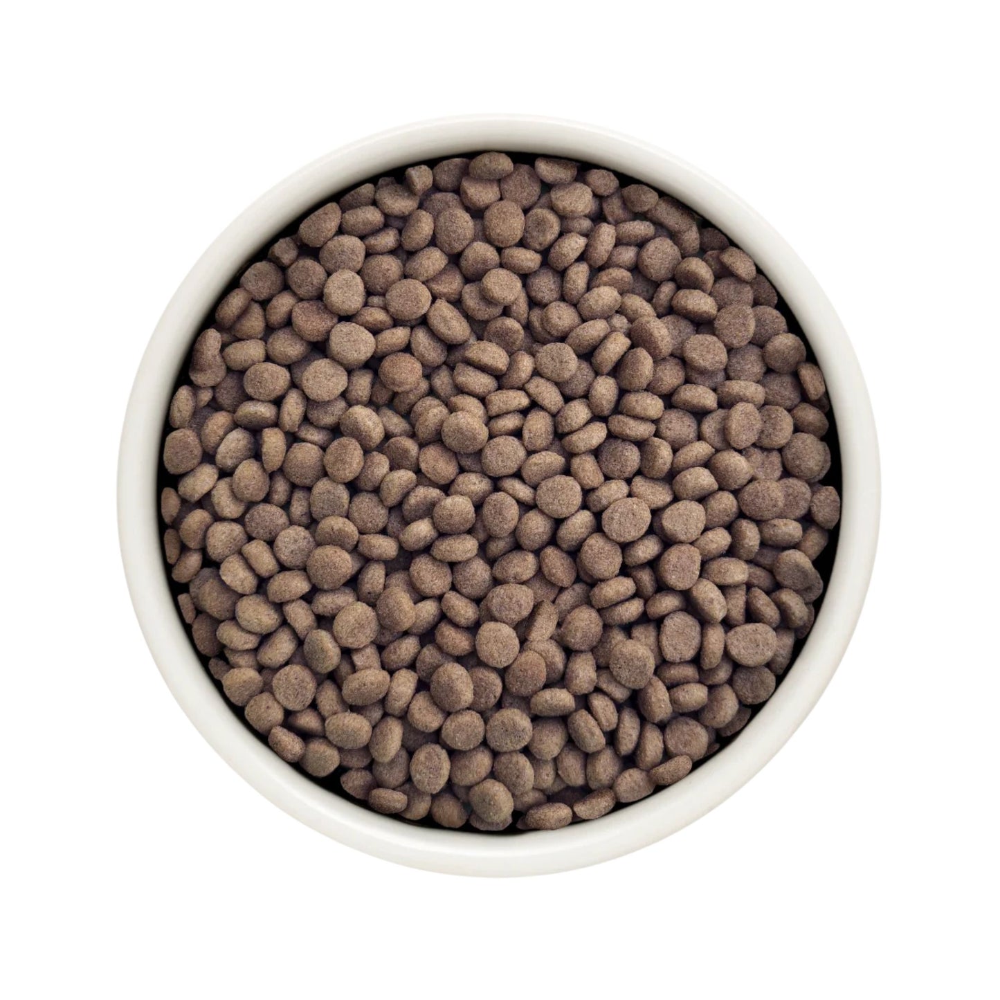 GRANDORF VET Hypoallergenic גרנדורף היפואלרגני אוכל רפואי לחתול לרגישויות ואלרגיות בטעם ארנבת 2 ק״ג
