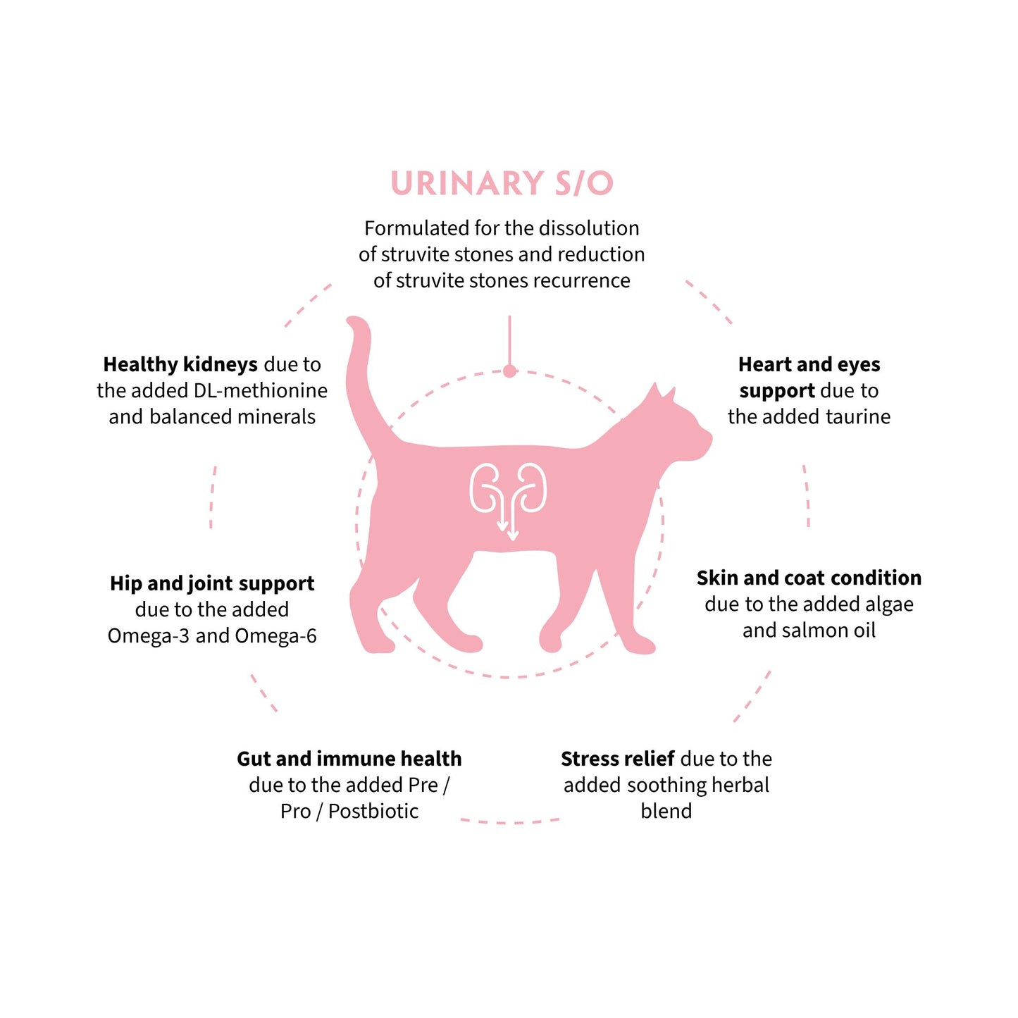 GRANDORF VET Urinary S/O גרנדורף יורינרי אוכל רפואי לחתול לתמיכה בדרכי השתן בטעם הודו 2 ק״ג