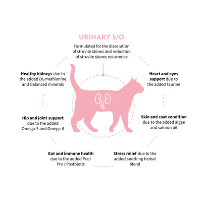GRANDORF VET Urinary S/O גרנדורף יורינרי אוכל רפואי לחתול לתמיכה בדרכי השתן בטעם הודו 2 ק״ג