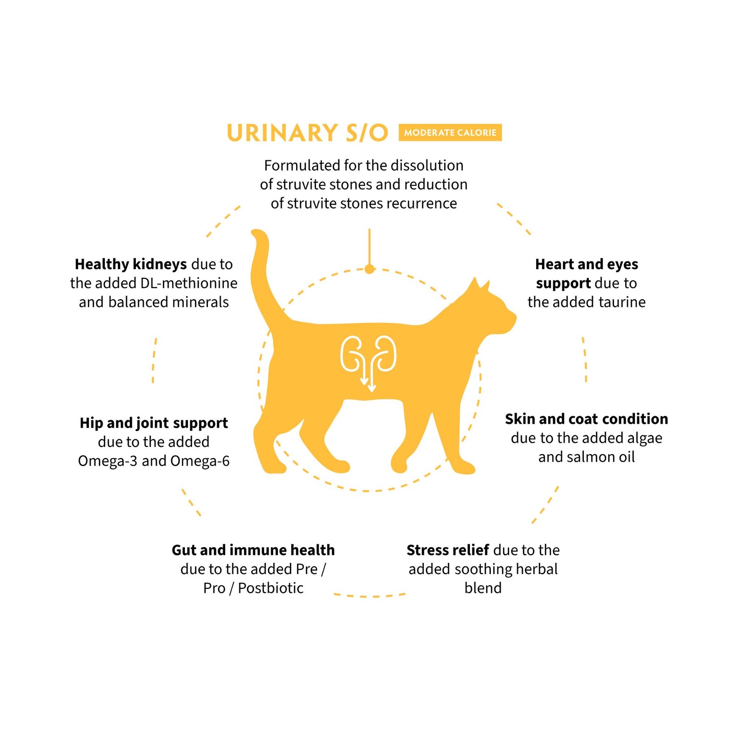 GRANDORF VET Urinary S/O Moderate Calorie גרנדורף יורינרי אוכל רפואי דל שומן לחתול לתמיכה בדרכי השתן בטעם הודו 2 ק״ג