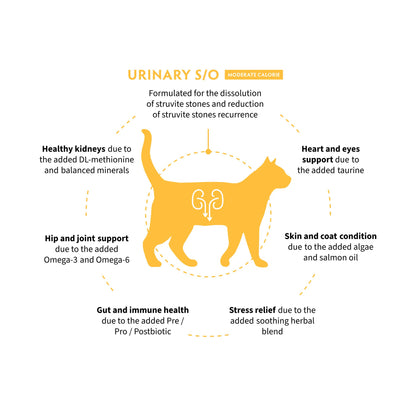 GRANDORF VET Urinary S/O Moderate Calorie גרנדורף יורינרי אוכל רפואי דל שומן לחתול לתמיכה בדרכי השתן בטעם הודו 2 ק״ג