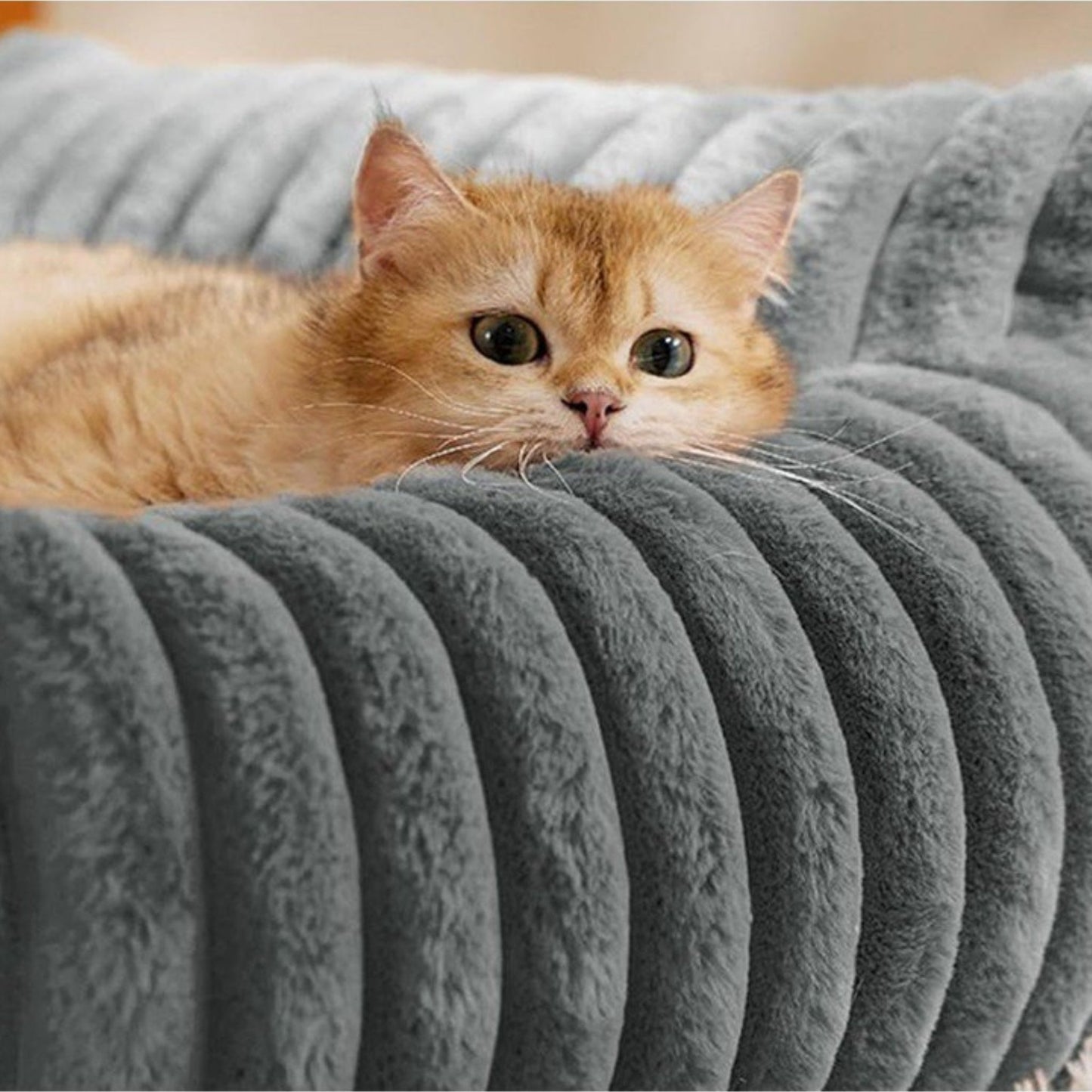 Hoofie מיטה לכלבים וחתולים בסגנון ספה צבע אפור